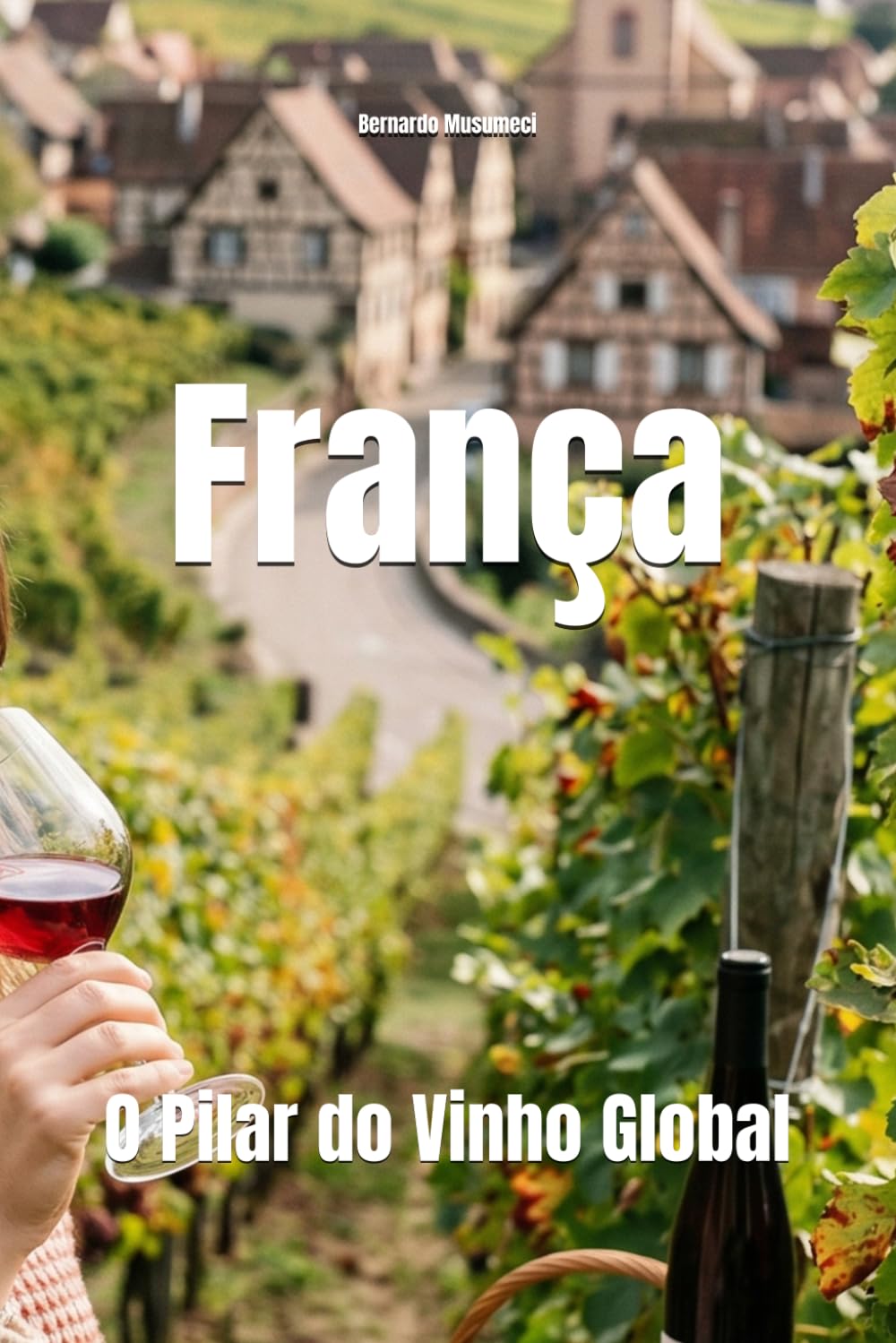 França: O Pilar do Vinho Global (Wines of the World: France)