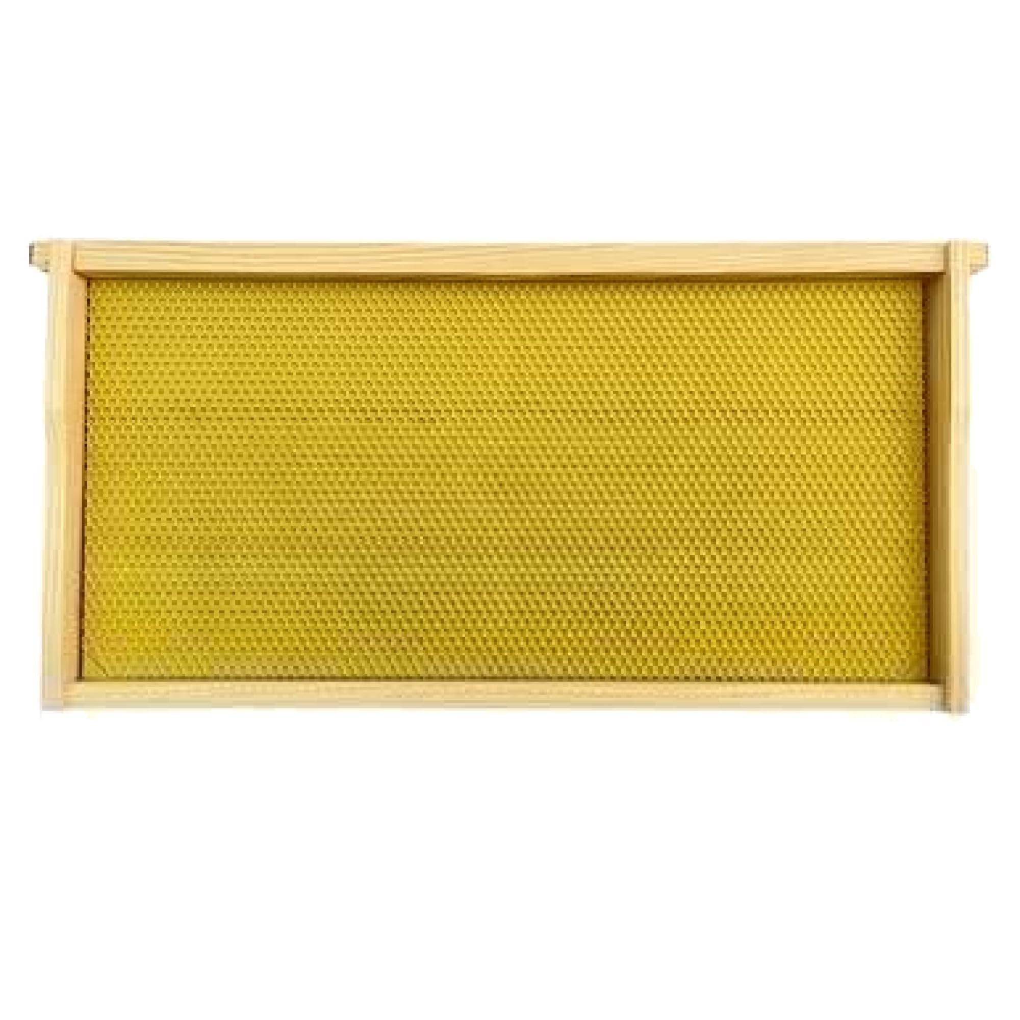 Mann Lake Premium Beekeeping Frames, Fully Assembled, Deep Rite-Cell Hive Frames, Beeswax Coating, Universal Fit, BPA & BPS Free, 9 1/8 Inches, Yellow
