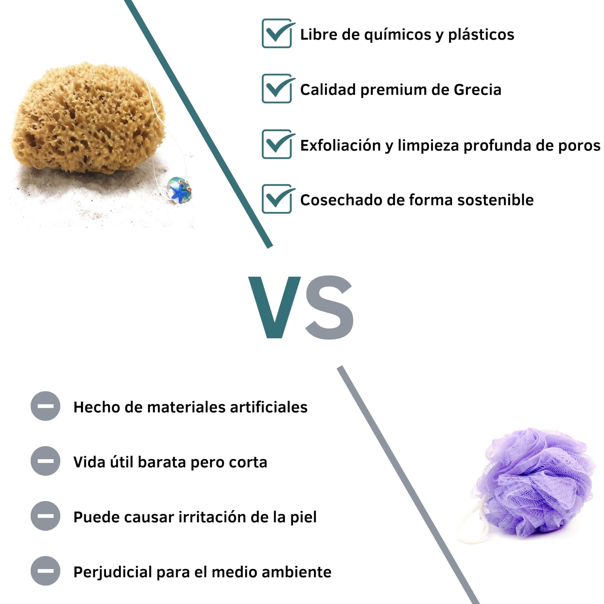 tom&pat® Esponja natural • con cordón y colgante cristal • esponja baño y ducha • efecto peeling • sin blanquear • Dermatest excelente • calidad mediterránea Grecia (13-14 cm)