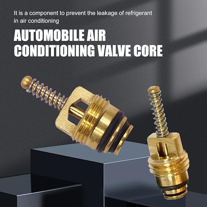 Kit de Válvulas y Tapas R12 para Aire Acondicionado Automotriz miniatura 3