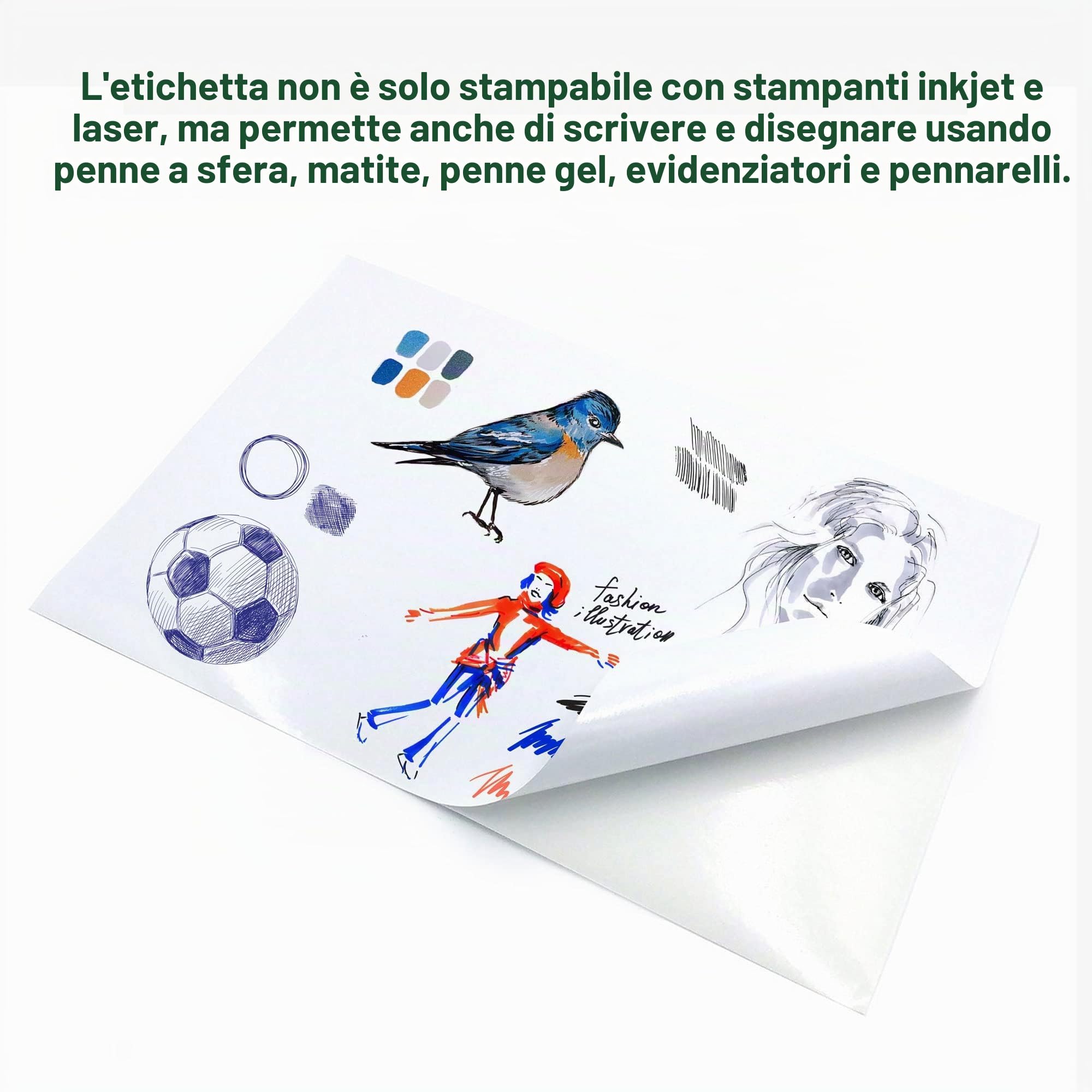 Evergreen Goods Ltd 50 fogli A4 lucidi autoadesivi carta adesiva bianca per immagini resistente agli schizzi per stampanti inkjet e laser