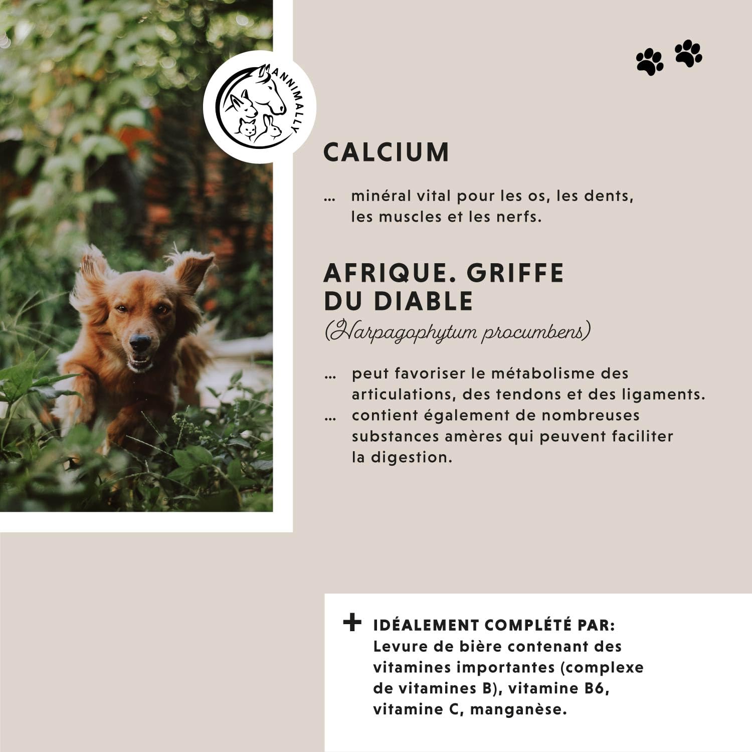 Complément Articulation pour Chien - Anti arthrose Chien Senior - avec glucosamine chondroïtine Chien - 120 comprimés pour Articulation - Anti inflammatoire Chien