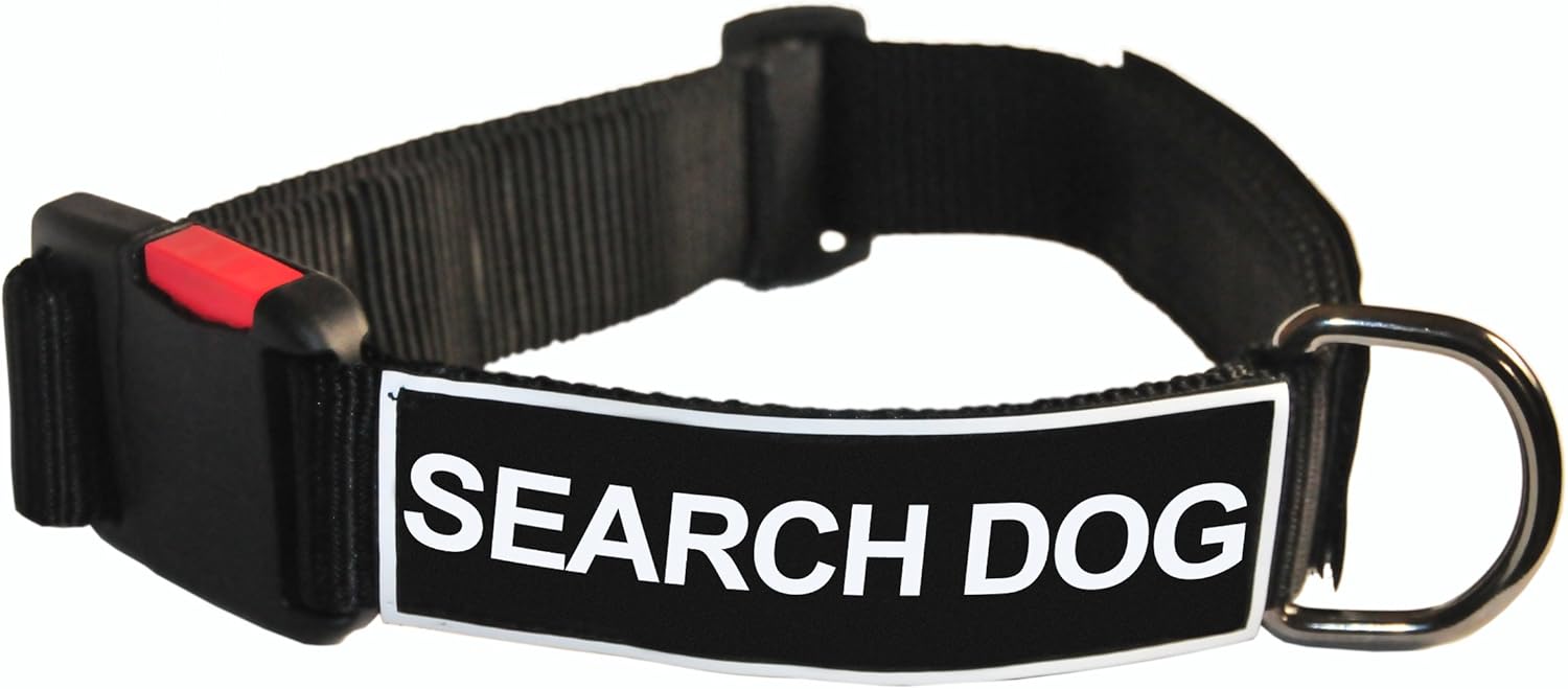 Dean & Tyler Black Collar with Two Search Dog Patches, Neck Size 21-Inch to 26-Inch