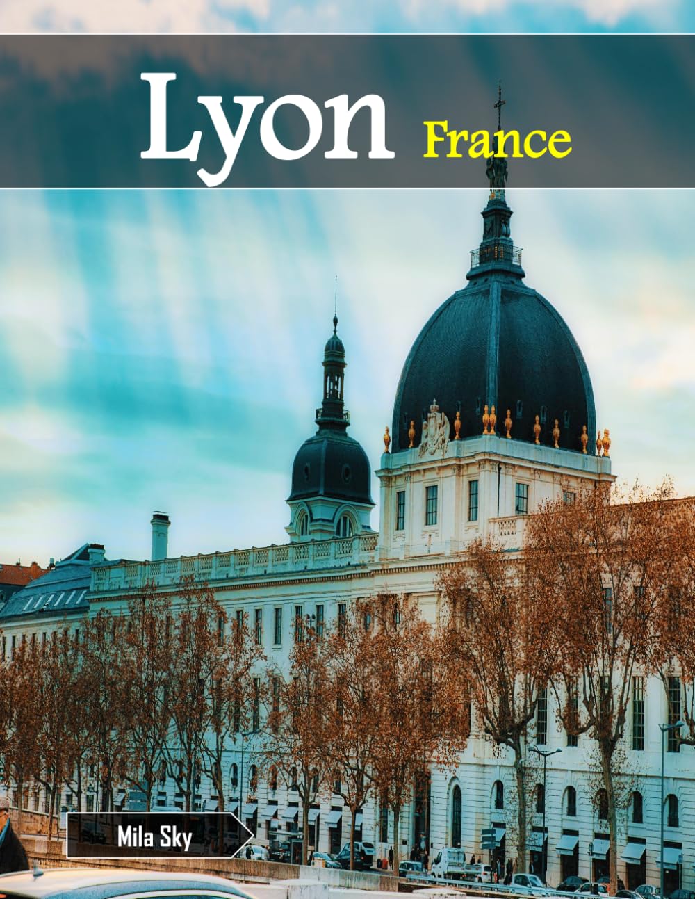 Lyon France: A Luxury Coffee Table Book of Iconic Landmarks