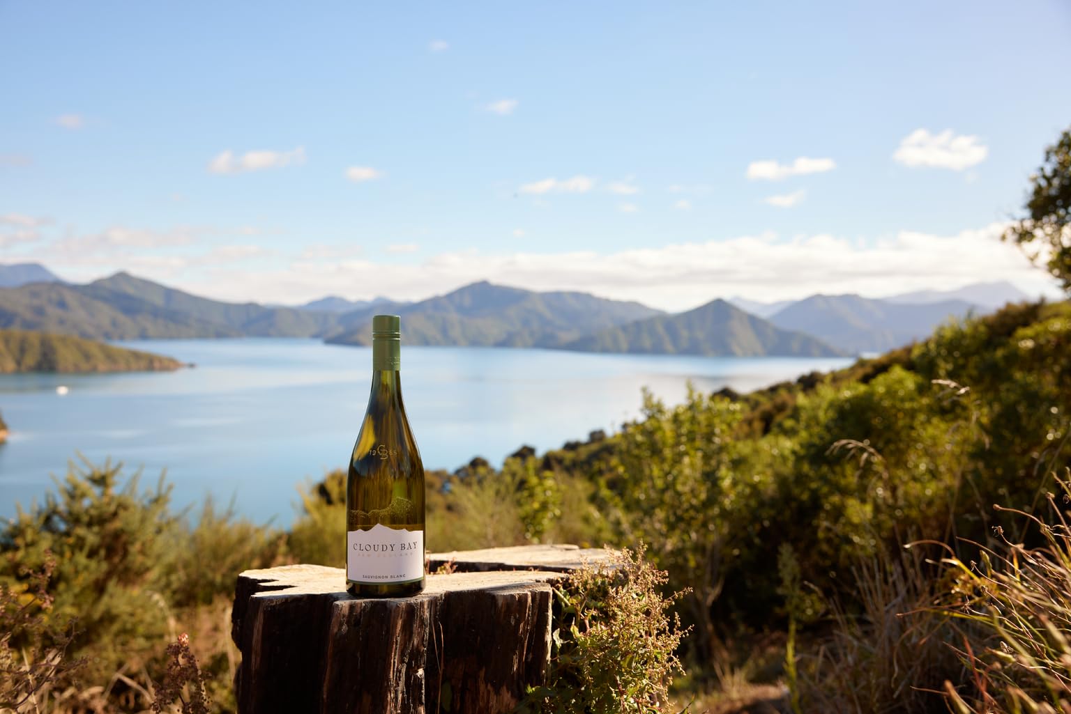 Cloudy Bay Sauvignon Blanc, Jahrgang 2025, 0,75L | Ikone aus Marlborough (Neuseeland) | Trocken & aromatisch | Zitrus, Stachelbeere & Kräuter | Frisch & elegant