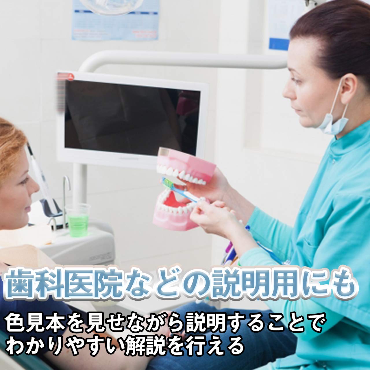 Amazon.co.jp: Felimoa 歯 シェードガイド 20段階 ホワイトニング用 色
