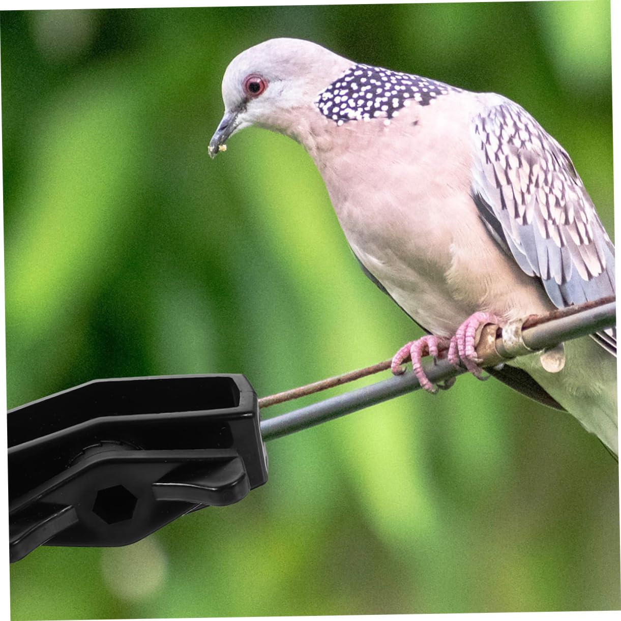 UPKOCH 24 pezzi Tenditori per Recinzione in Resistenti e Facili da Installare Tensionatori per Esterni e Durevoli per Linee di Recinzione e Stendini Outdoor