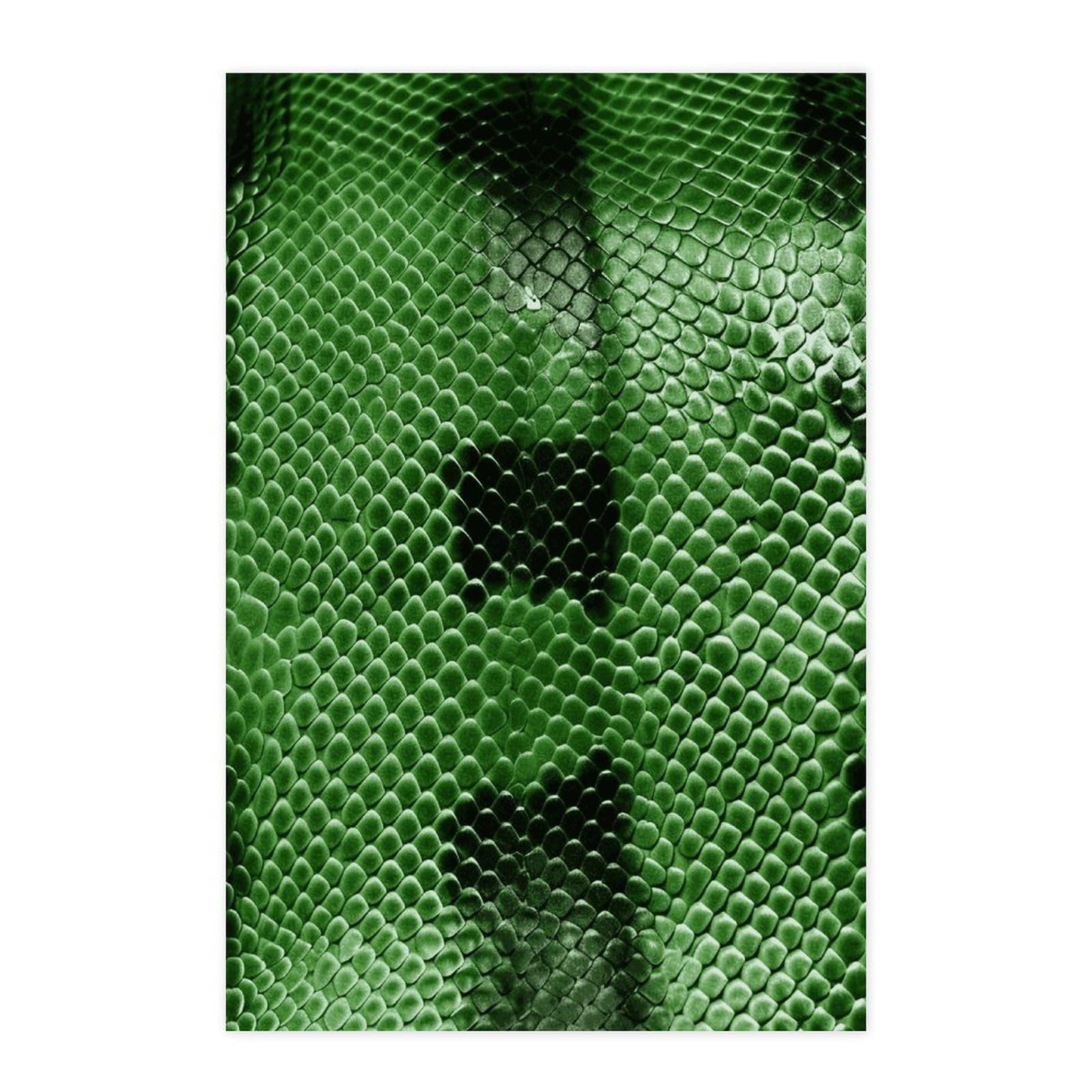 Poster serpent vert autocollant mural amovible papier décoratif armoire chambre