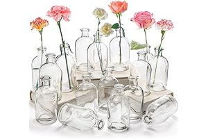 YOUEON 16 Pack Living Bud Vases, Clear Glass Flower Vase, Perfect for...