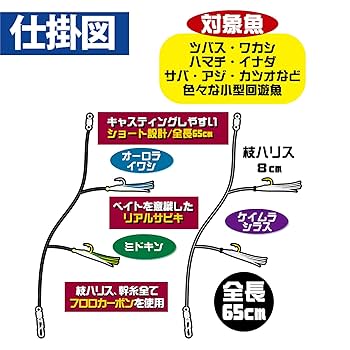 さびき Amazon.co.jp: ハヤブサ(Hayabusa) ジギングサビキ