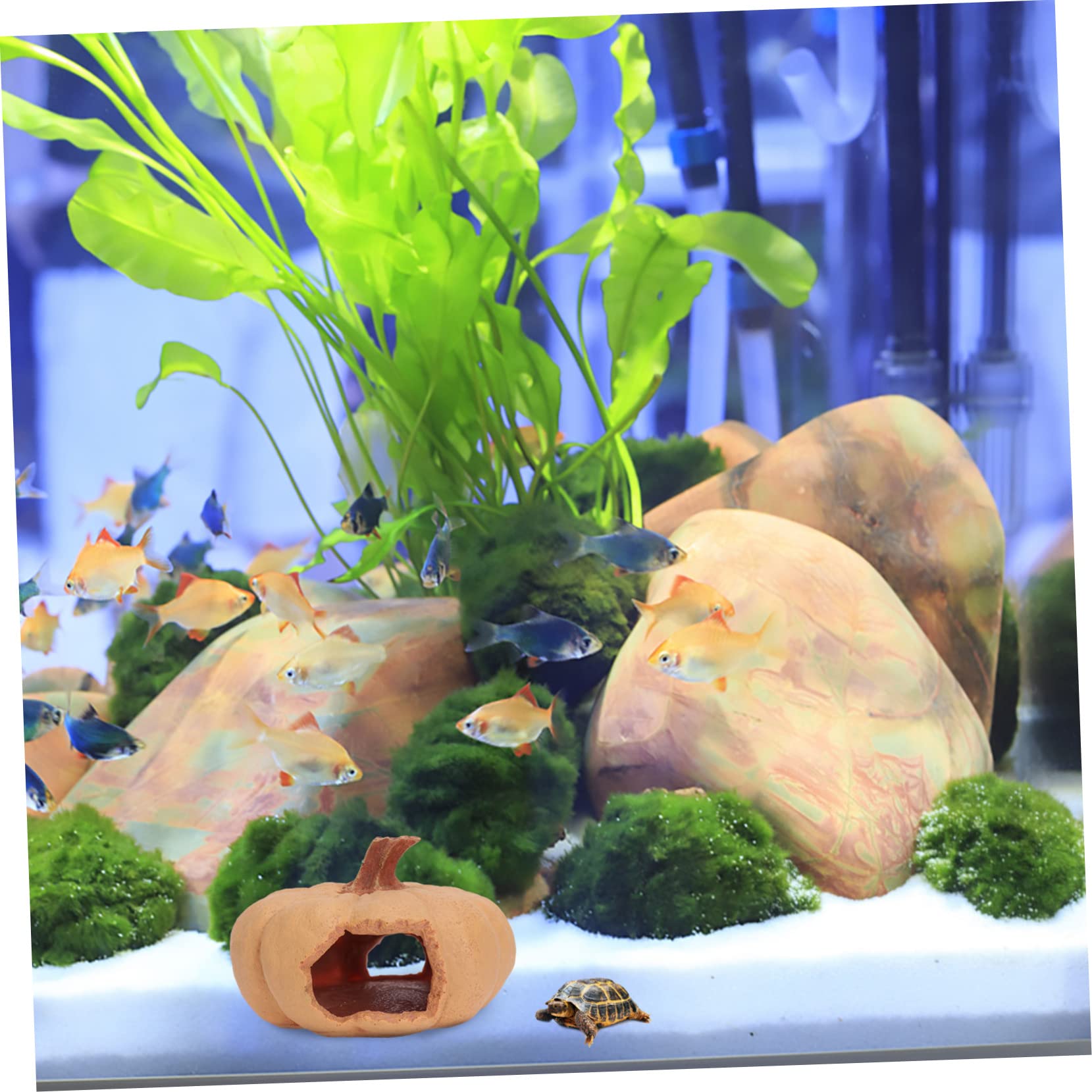 Abaodam 1PC Pumpkin Hideout Cave for Reptiles Aquarium Supplies Non Deformable Design for Lizards Snakes and Animals Landscape Accessory for Your Home Decor