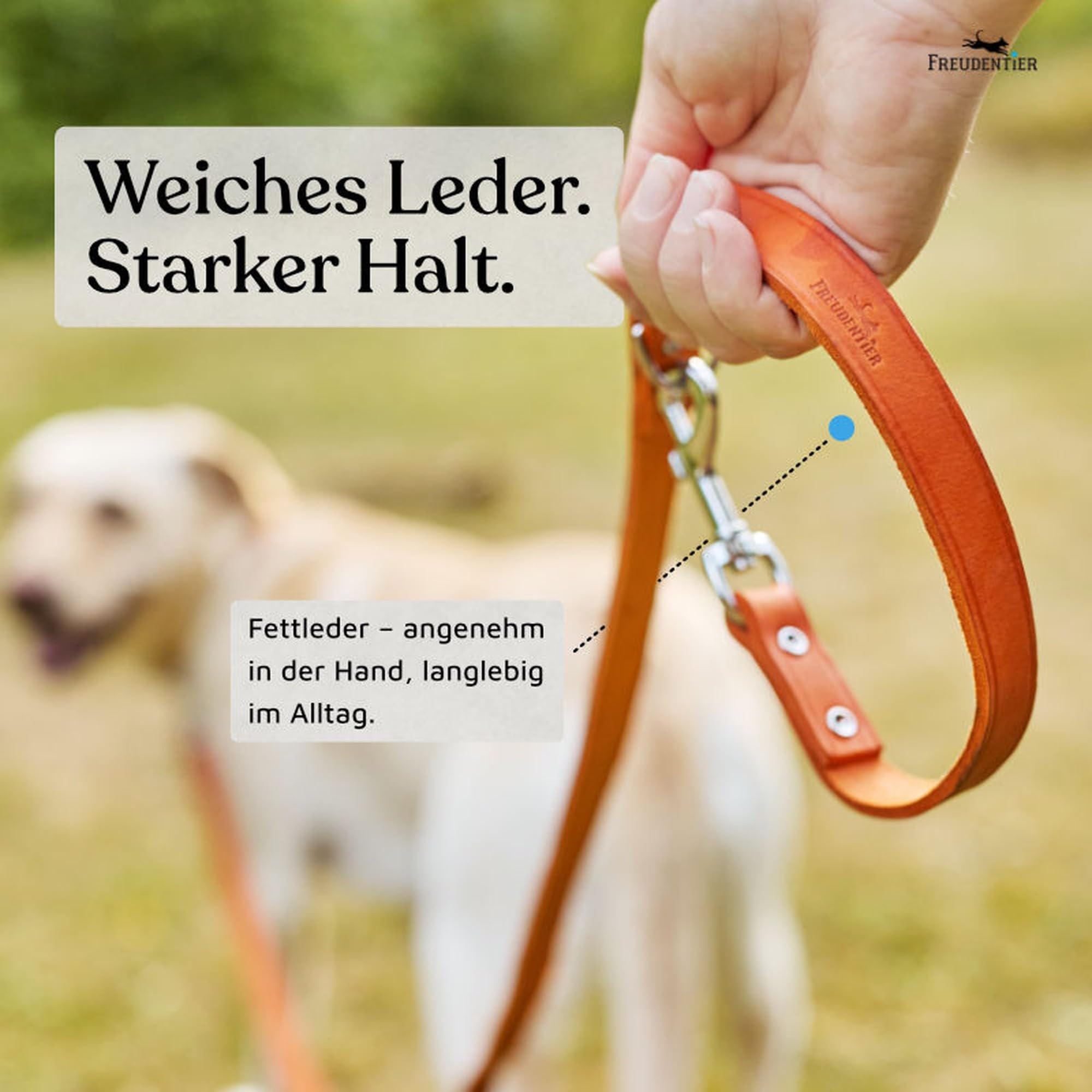 FREUDENTIER® Amstelpark Collectie Hondenriem  LWG Gold Gecertificeerd 2 M 3 Voudig Verstelbare Leiband Liefdevol In Nederland Geproduceerd Hoogwaardig En Stijlvol Zand 20 650986762