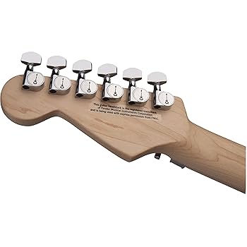 Amazon | Charvel PRO-MOD SO-CAL STYLE 1 HH FR M SATIN SHELL