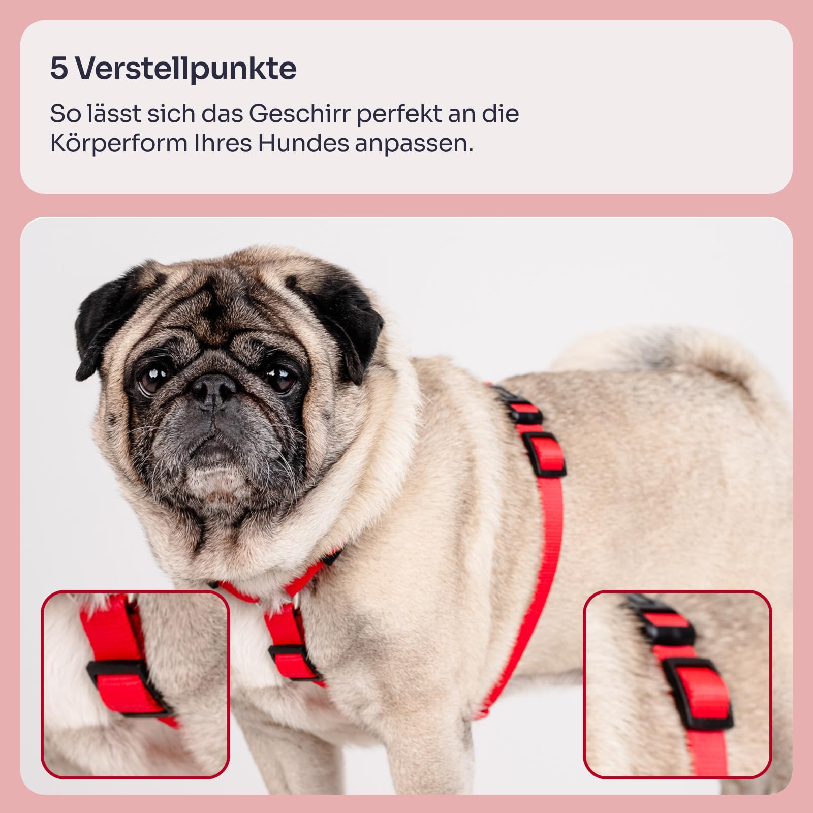 Chaba Guard Hundegeschirr für kleine und mittelgroße Hunde mit Kontrolle, Anti-Zug & Würgen, Verstellbar, Bequem und Leicht, Classic Step-in Brustgeschirr, Dog Harness, Größe M, ROT