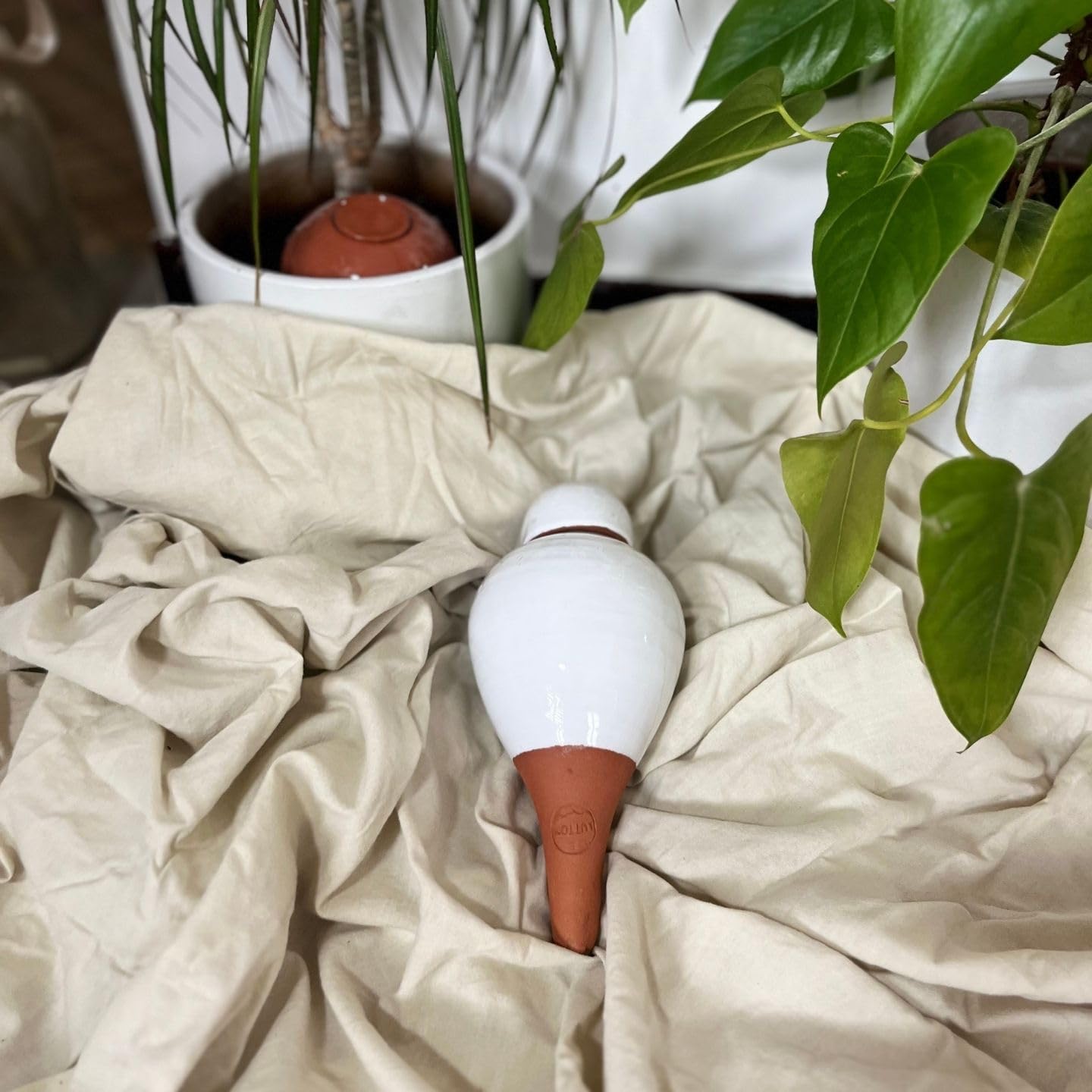 Poterie Lutton | Duo Ollas Sabeur 0,40 L | Terracotta Nature & Blanc Émaillé | Arrosage Automatique Écologique pour Plantes d’Intérieur | Irrigation Ciblée Artisanale