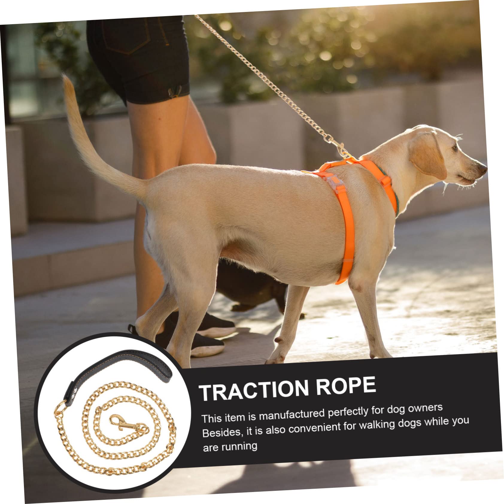 BESPORTBLE Cuerda Inoxidable Dorada para Perros Correa Resistente para Mascotas Control De