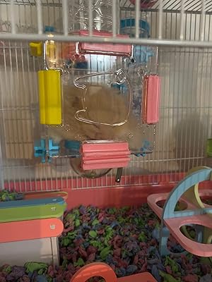 mega hamster cages