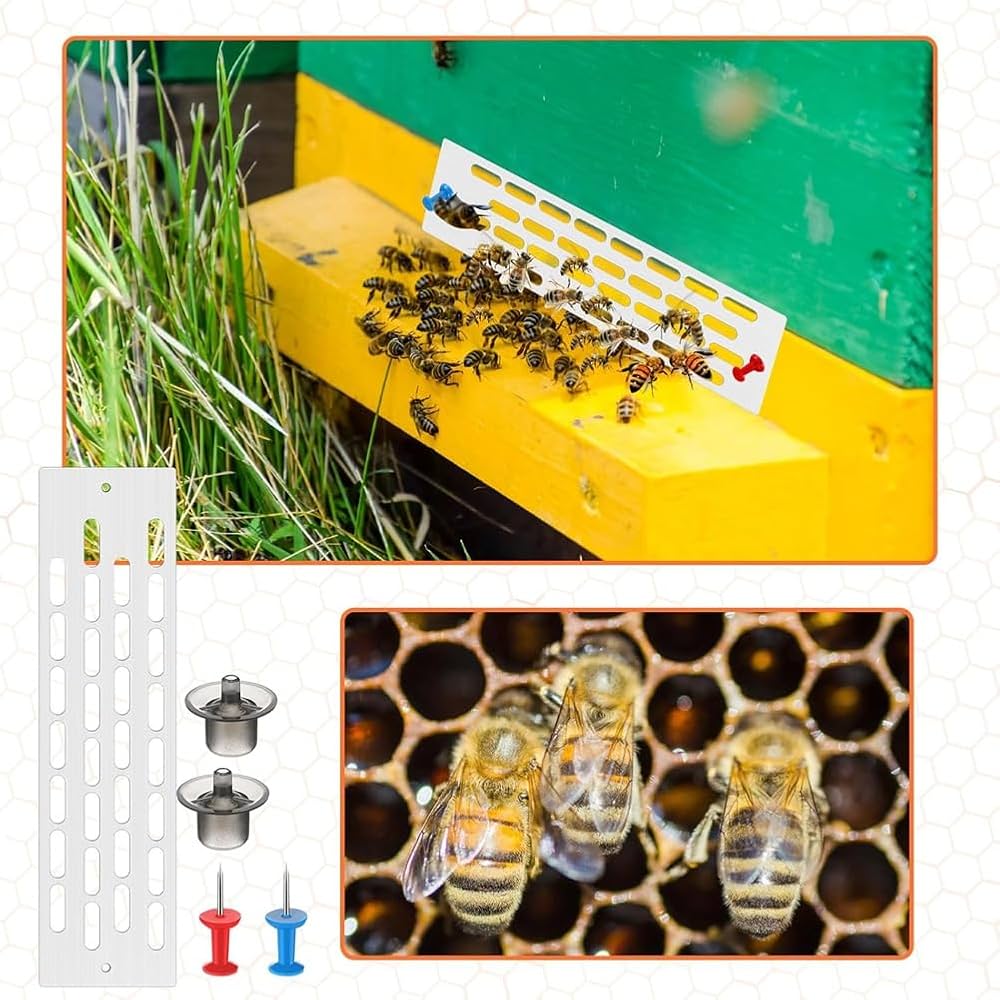 Kit De Marquage Pour Reine Des Abeilles, Bouteille D'apiculture Avec