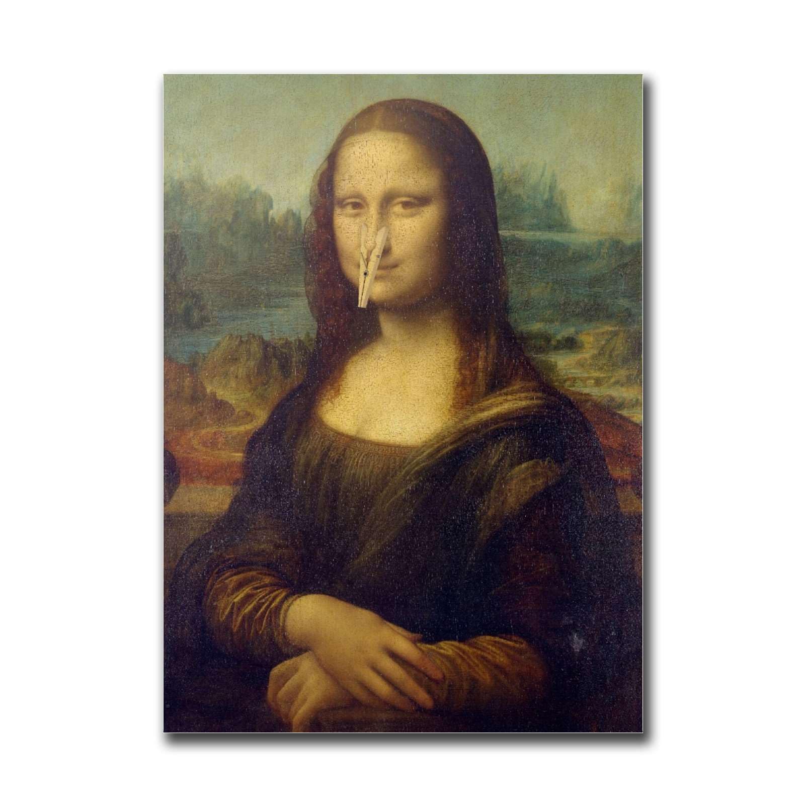 Poster Humoristique Mona Lisa Pour Salle De Bain - Décoration Décalée Pour Appart, Resto, Hôtel Ou Cadeau