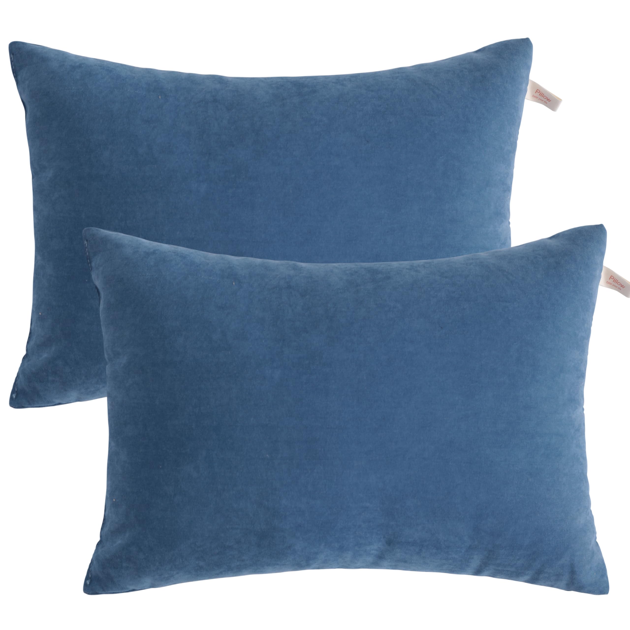 BEDSUM Toddler Pillows 2-Pack