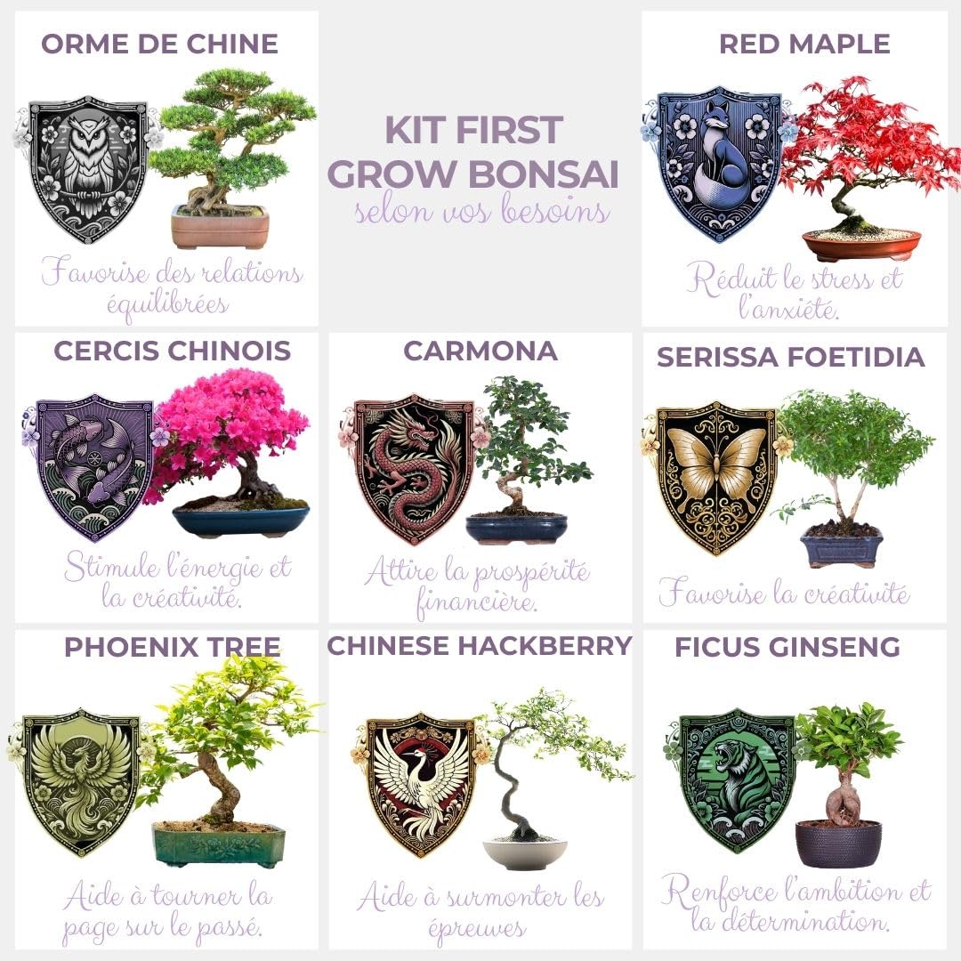 CULTIVEA® Kit First Bonsai - Kit de première culture de Bonsaï - Prêt à Pousser avec Graines & Accessoires - Made In France (Cercis Chinensis)