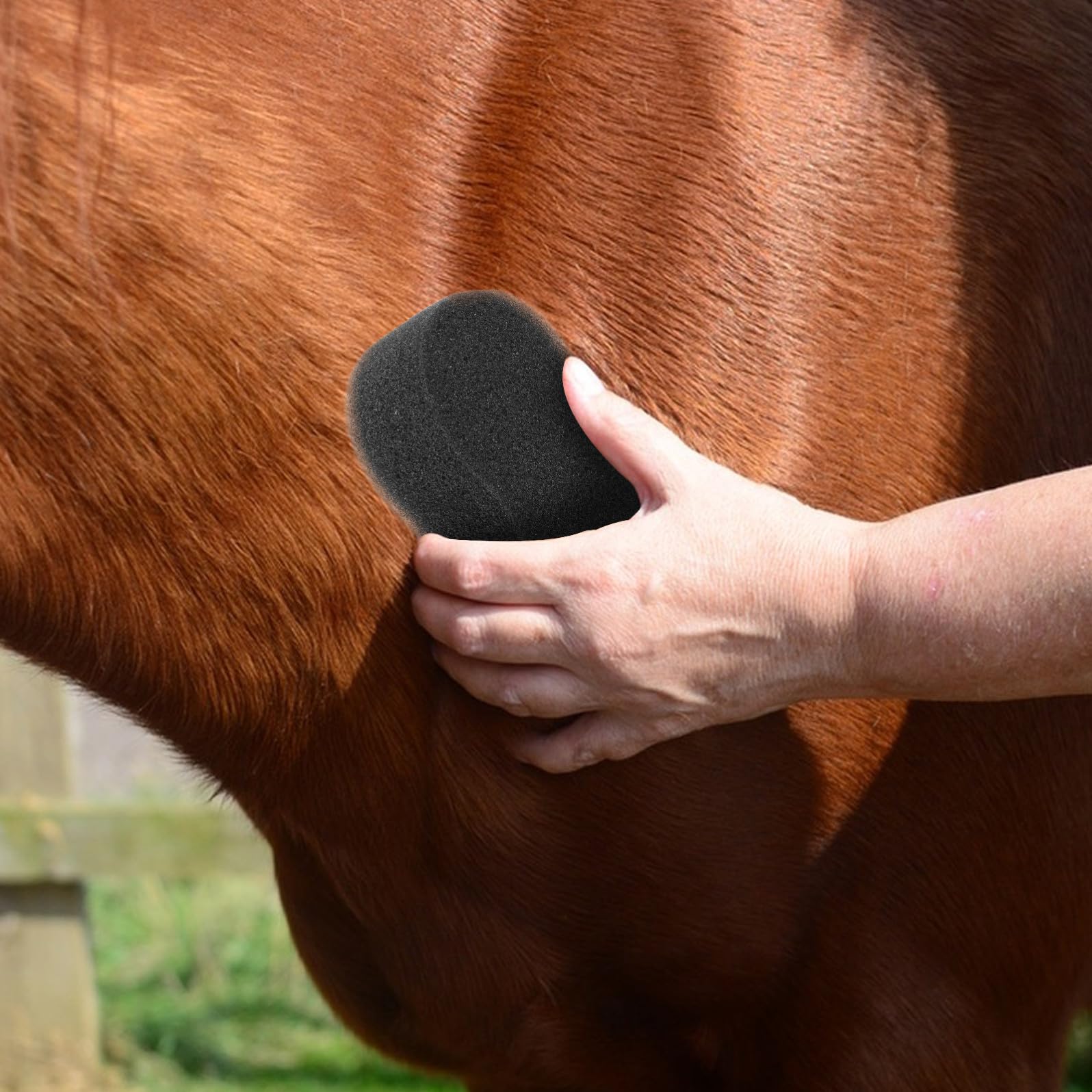 Artibetter Esponjas de Limpieza para Caballos Grandes Suaves Absorbentes 20x11 Cm para Baño y Aseo Diario de Caballos Kit de Cuidado Equino