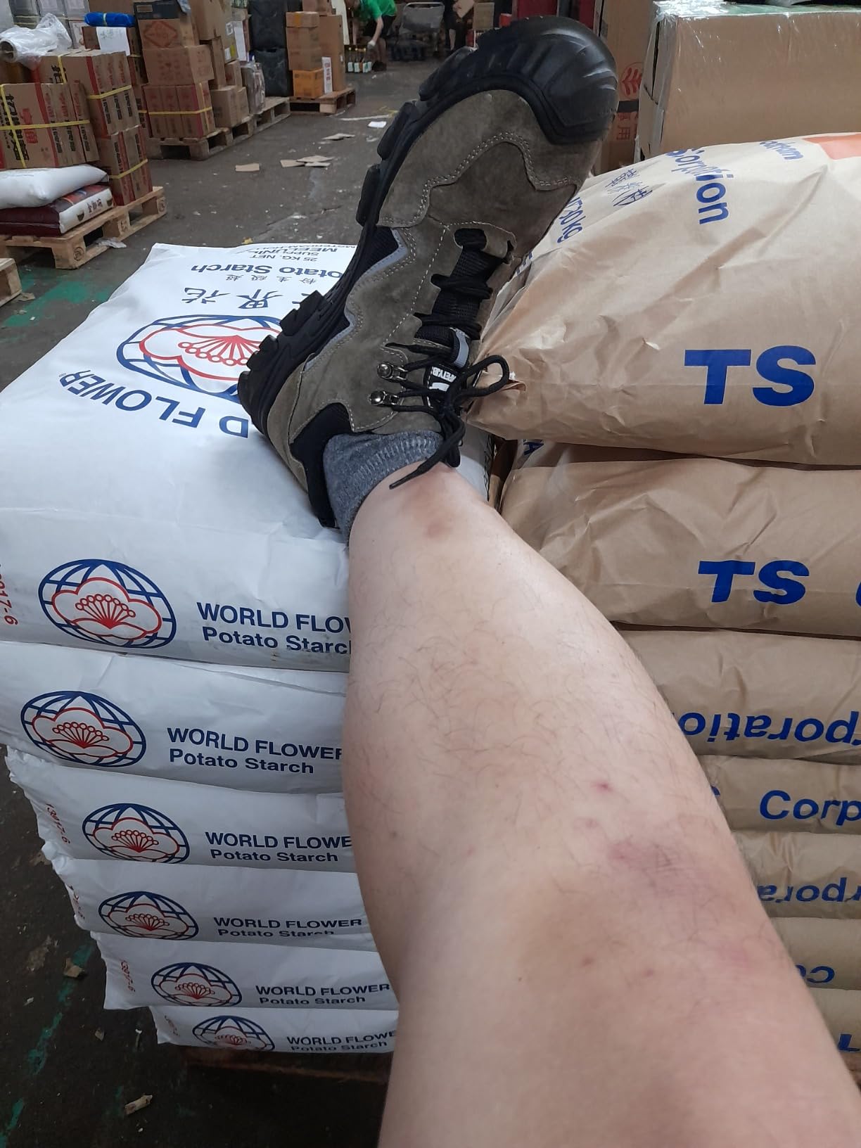 9KSAFETYJB Safety Work Shoes | Kensho 673BE