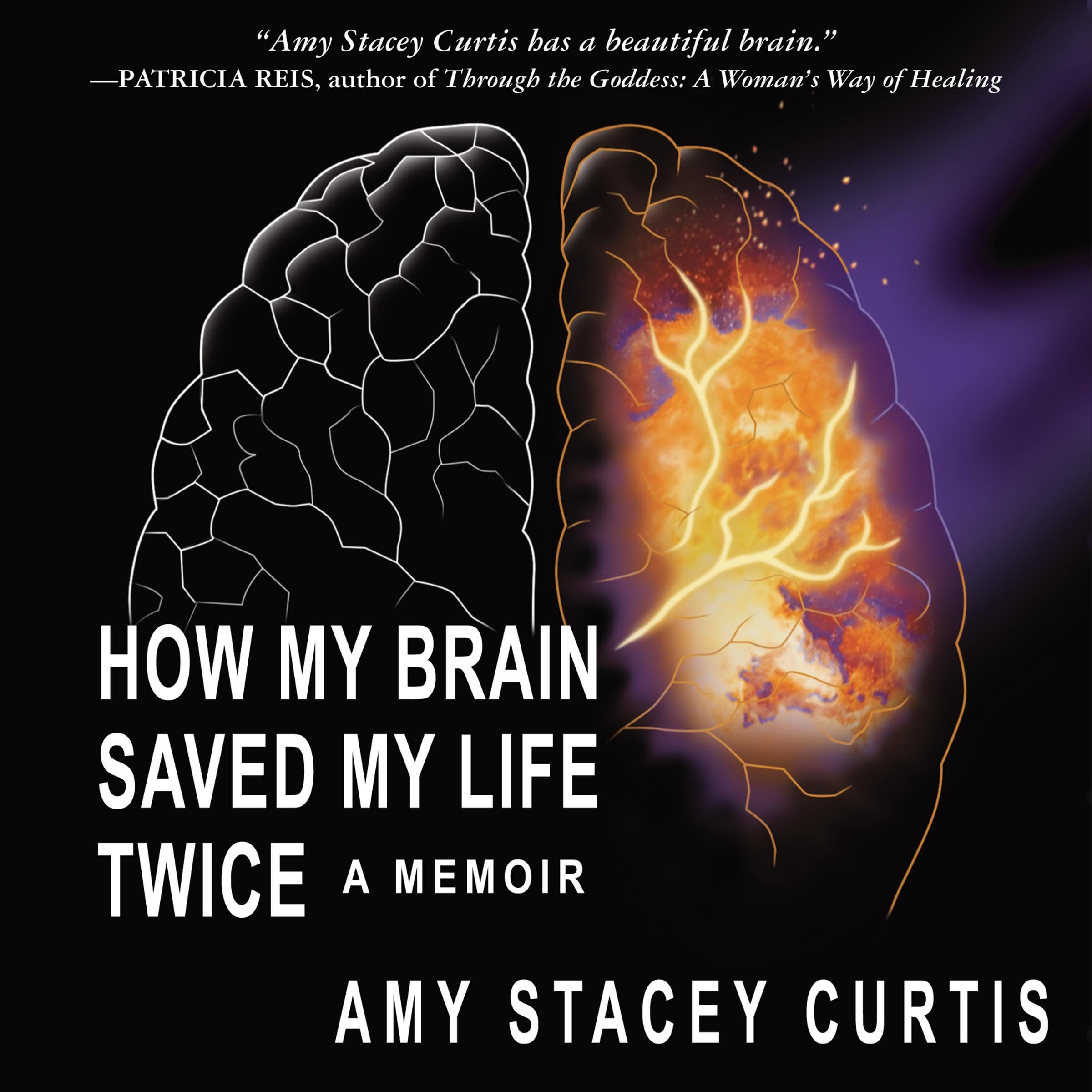 How My Brain Saved My Life Twice book cover