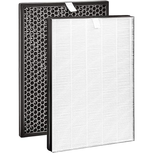 Hoyos and Carlos Upgrade Your Airpurifier with Filter Set Co