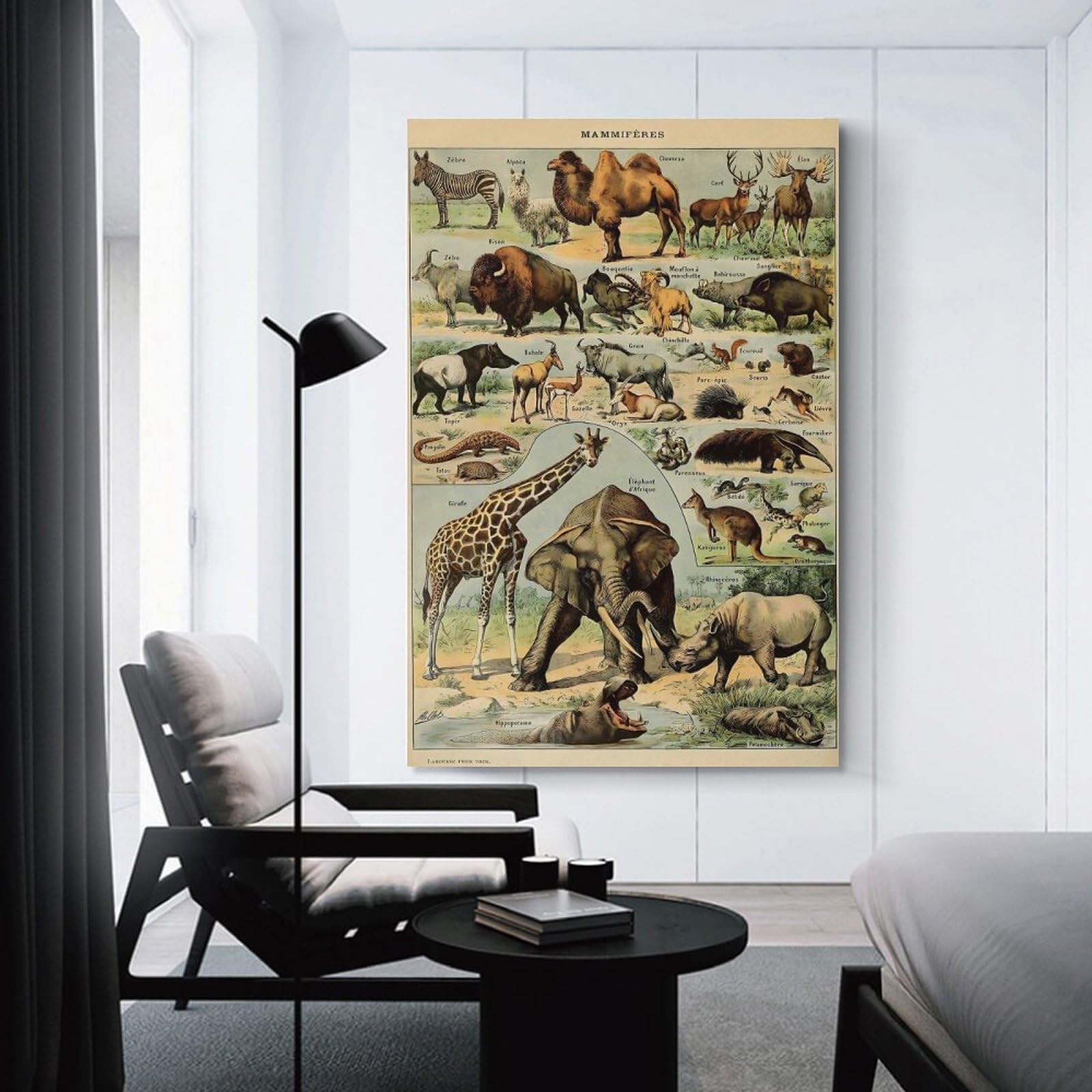 Junmoney Adolphe Millot Mammals V1 Wall Picture Print 20x30inch(50x75cm), for Lounge Decor, Offices Or Entryway Styling, Versatile Wall Decor for Many Rooms