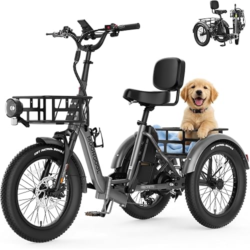 MOONCOOL Foldable Electric Tricycle for Adults, 20" Aluminum E-Trike with Reverse Function & Long Range Options, Rear Differential, Front Suspension, 450 lbs Max Payload, 95% Pre-Assembled