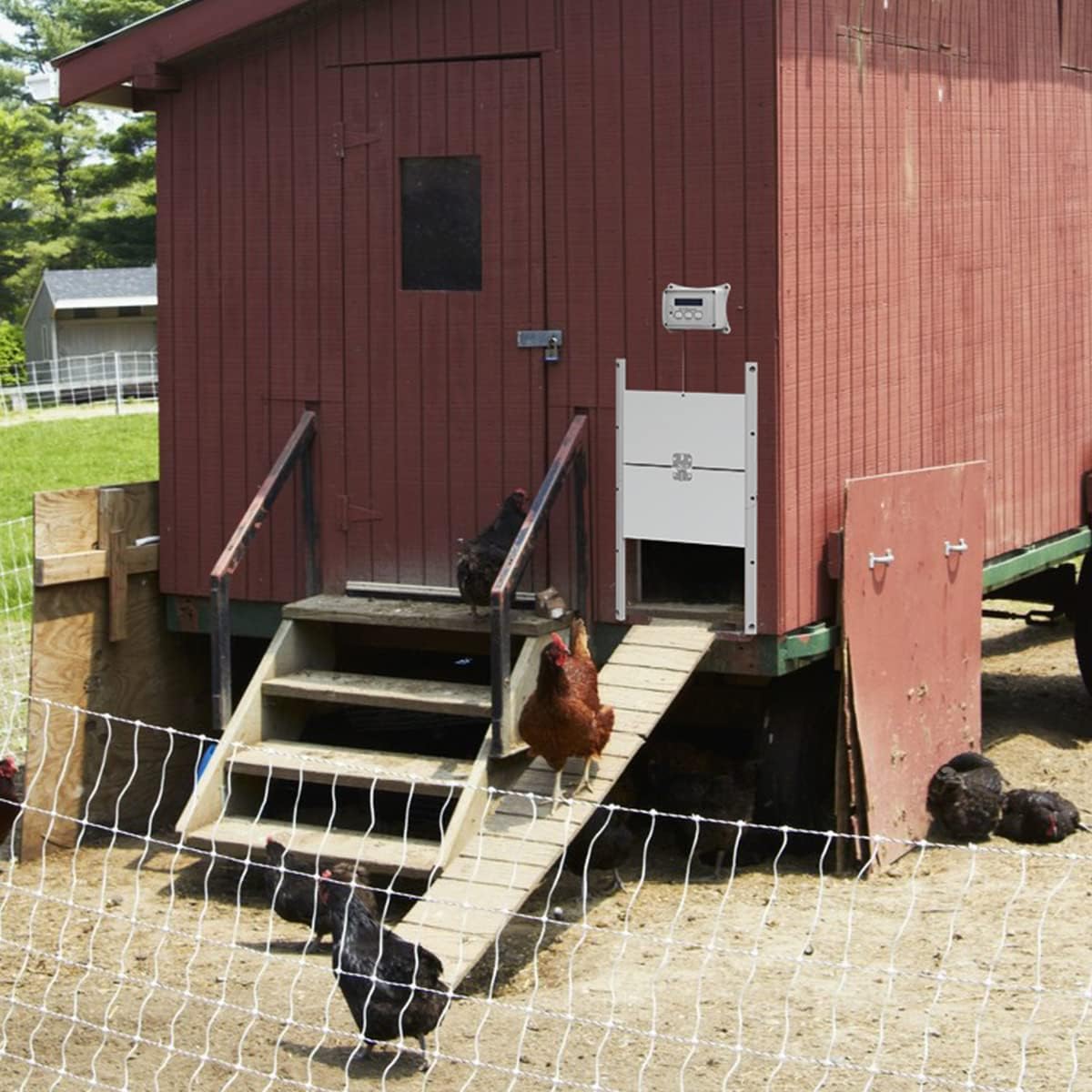 Buy Automatic Chicken Coop Door Opener Kit DORTIMATE DTACCDO Electric