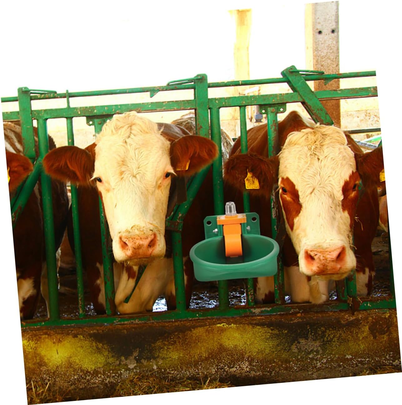 2Pcs Durable Plastic Drinking Troughs for Goats Calves and Livestock Easy to Clean Automatic Sensing Design Effortless Setup Spill Resistant