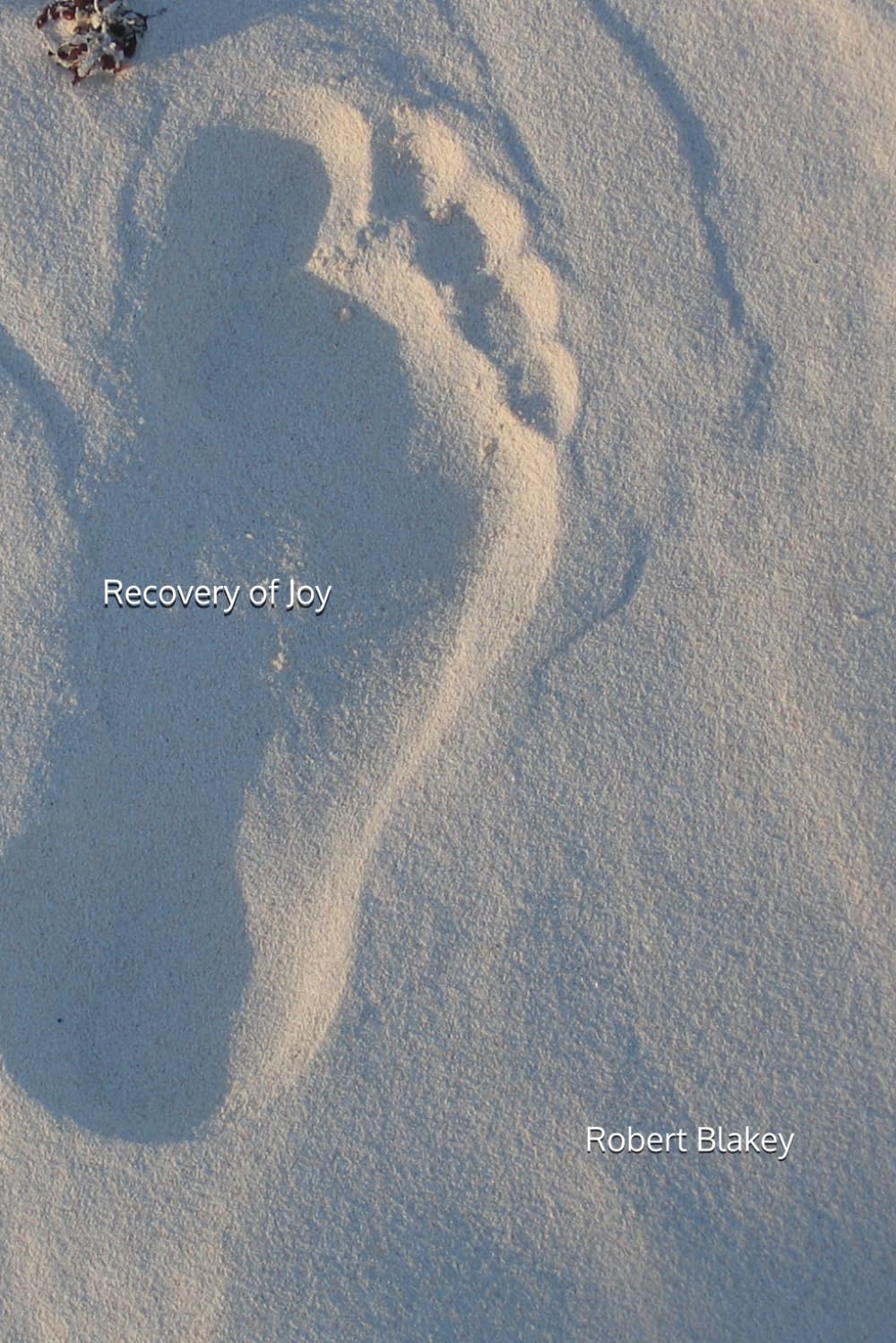 Recovery of Joy: Part 1 (A Pandemic Crossing)