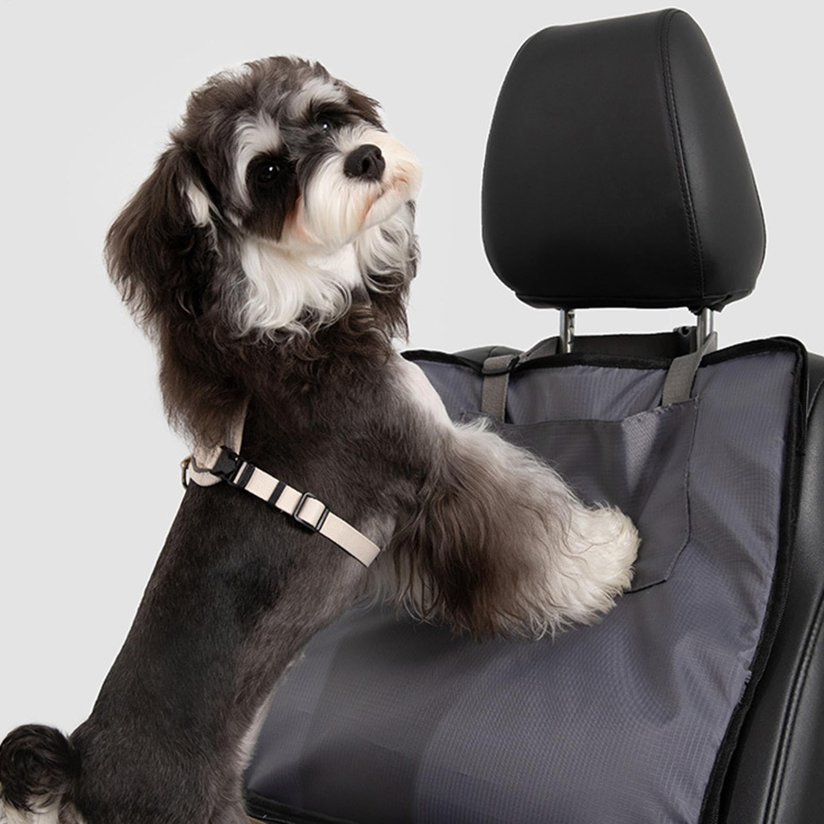 Siège Auto canin Sac à Dos Convertible et arrière