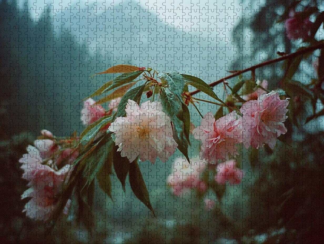Puzzle 2000 elementów dla dorosłych roślin, drewniane puzzle 99 x 70 cm, dla mężczyzn kobiet starszych seniorów, części ściśle do siebie pasują, dekompresja, dekoracja ścienna, prezenty dla