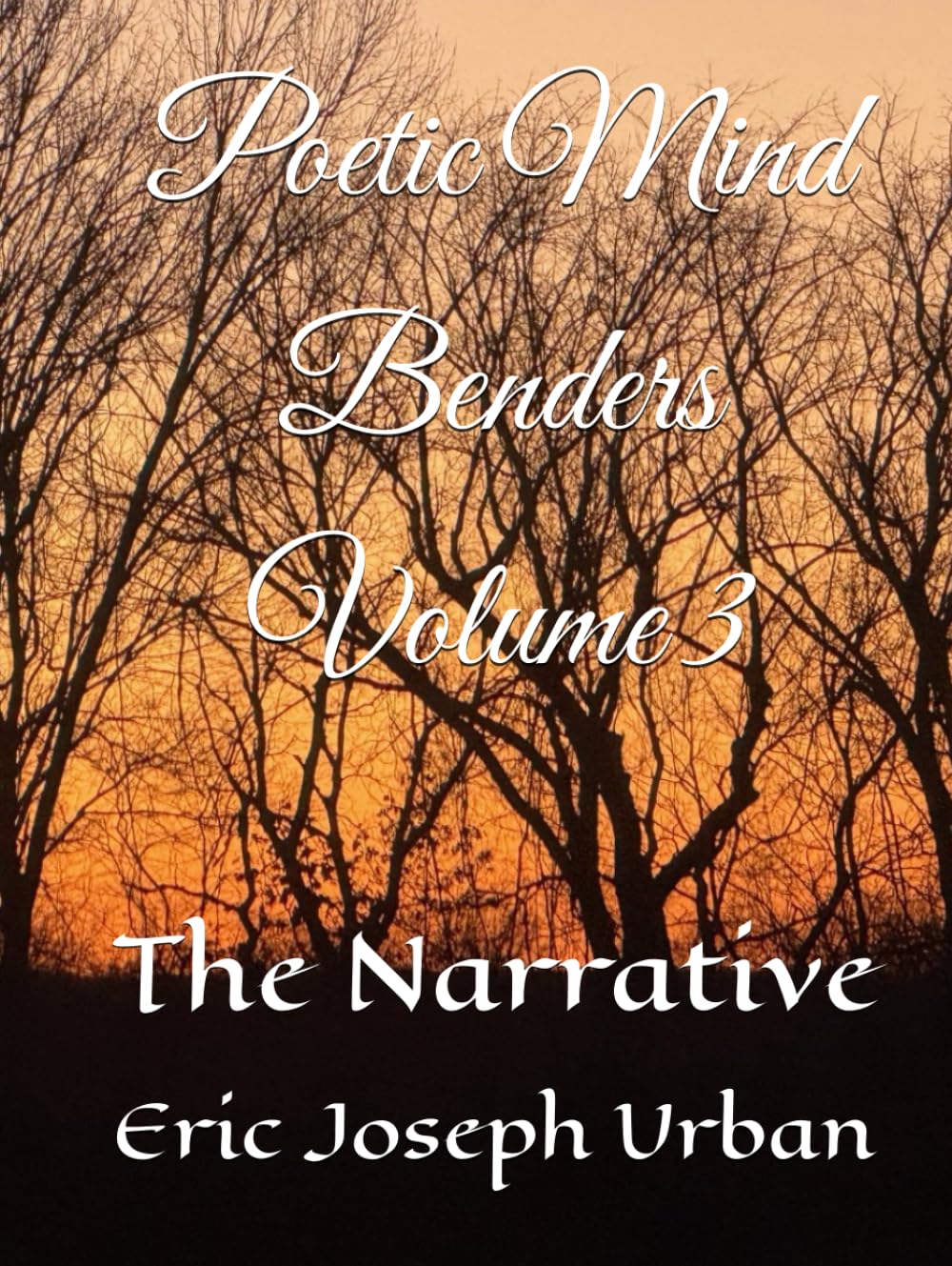 Poetic Mind Benders Volume III: The Narrative