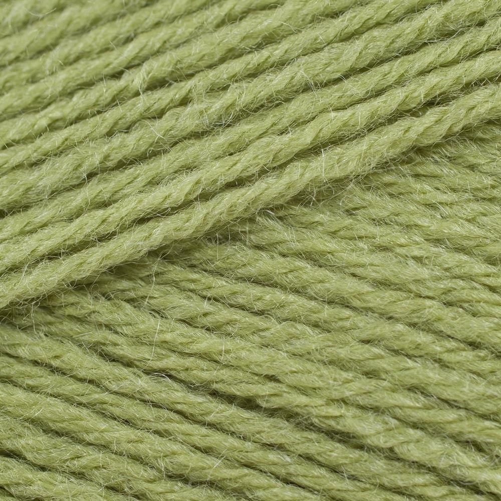 Stylecraft Meadow Special Chunky Knitting Wool/Yarn 100G - 1065 10 X 100G Balls