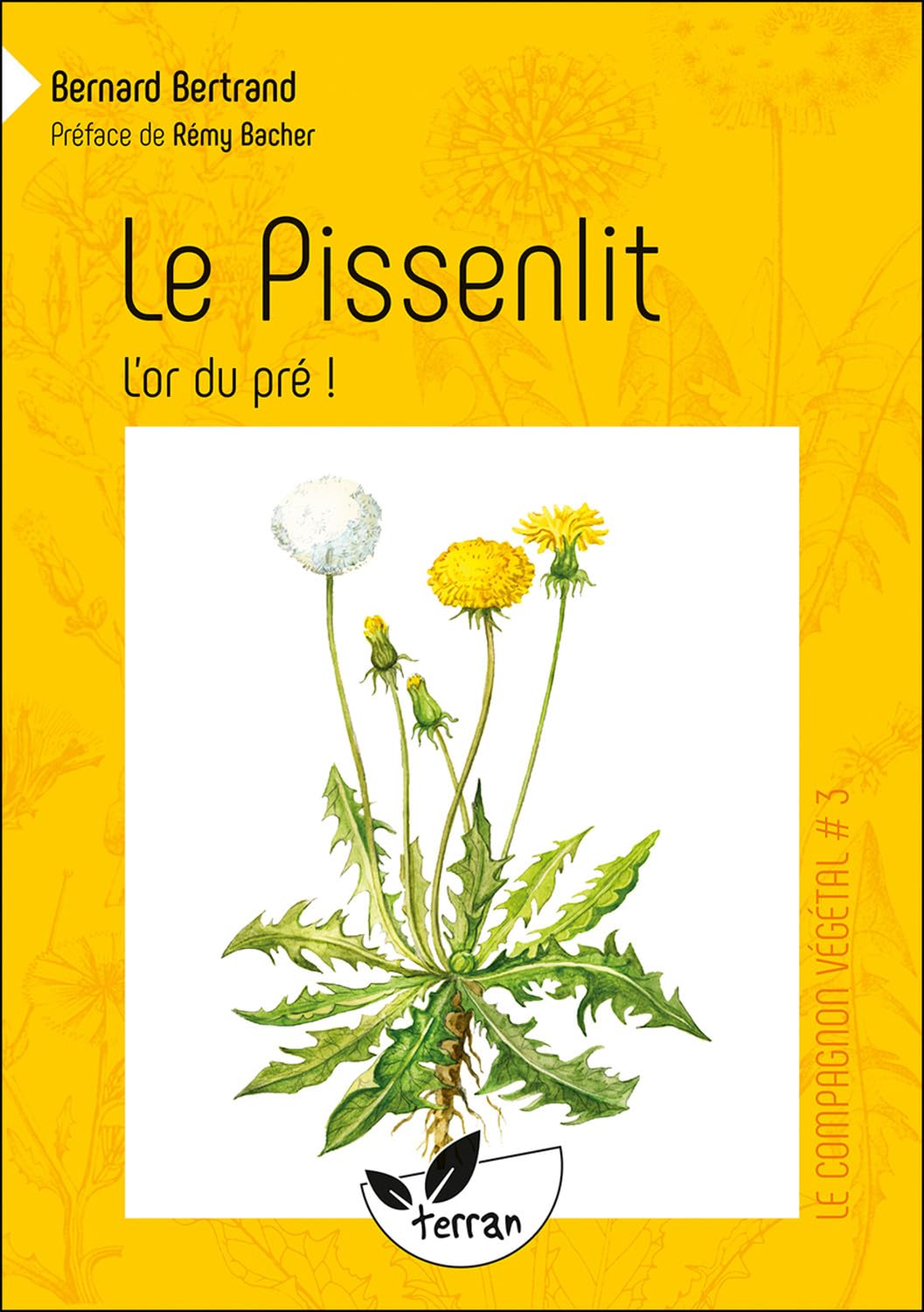 Le Pissenlit, l'or du pré ! - Vol. 3