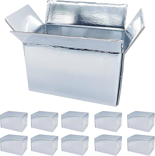 10 cajas de envío frías, caja aislada de aluminio, caja de envío reutilizable con doble aislamiento, cajas de envío frías a prueba de fugas, pequeña
