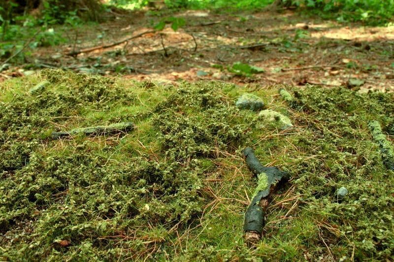 Model Scene F601 Forest Base Spring 18/28 Cm Diorama Upgrade Accessories