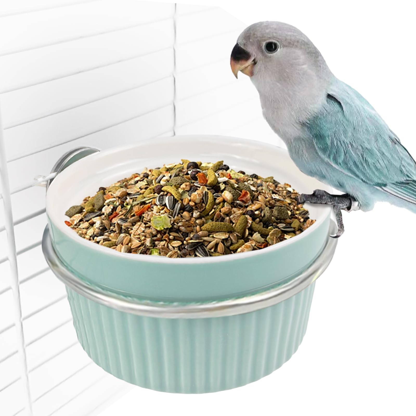 Bird Feeding Cups Parrot Food Cage Bowl Clamp Holder Coop Cup, Ceramic Bird Cage Water Bowl, Pet Feeder Cage for Parakeet African Greys Conure Cockatiels Lovebird Budgie-Blue