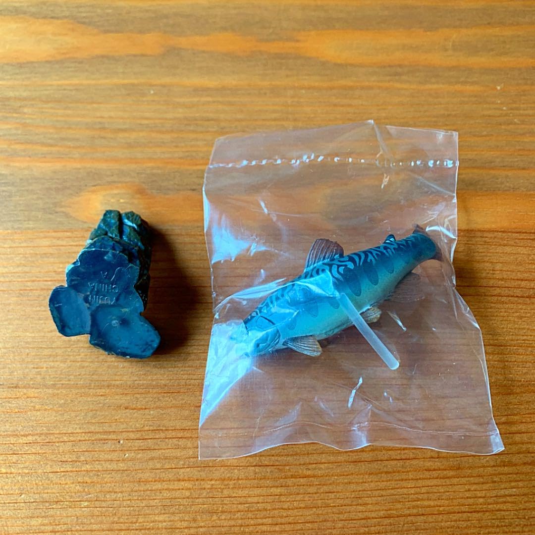 Amazon.co.jp: 原色淡水魚図鑑Ⅰ 改訂版 限定版 ヤマメ×アメマス