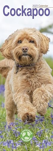 Cockapoo Slim Calendar 2023 | Dog Breed Slimline Calendar - 12 Month