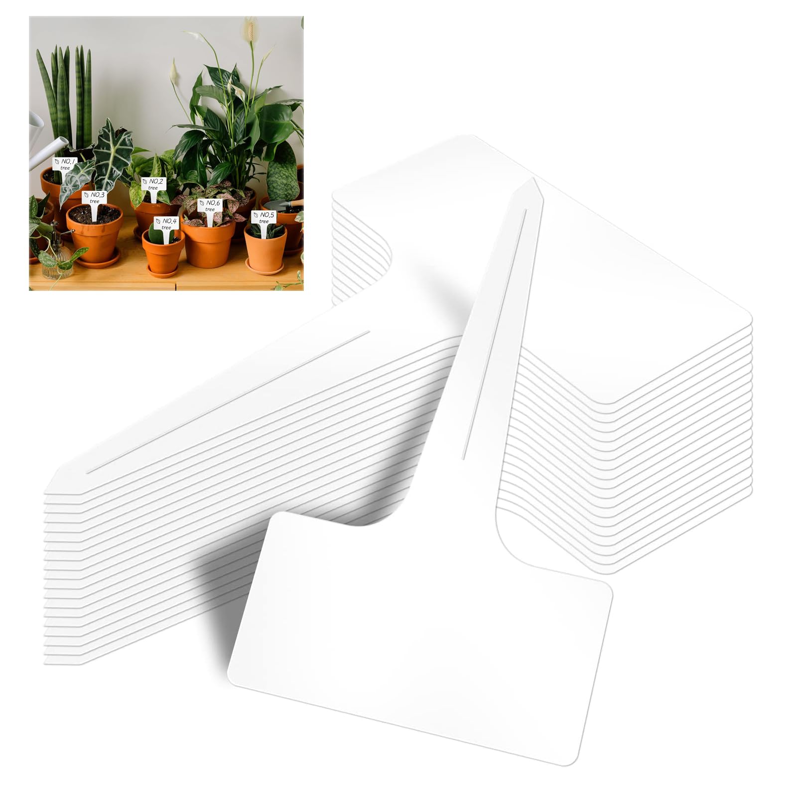 100 Etichette Per Piante Da Giardino, Targhette In Plastica PVC Con Nome, Impermeabili E Riutilizzabili, 5x1 Cm – Per Fiori, Orto E Vivaio