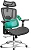 Ergonomic Office Chair with 8D Domino Adjustable Lumbar Support, 4-Position Tilt Lock, 4D 270° Armrests, Seat Depth Adjustment, Big & Tall High Back Mesh Computer Desk Gaming Chair, EN12520