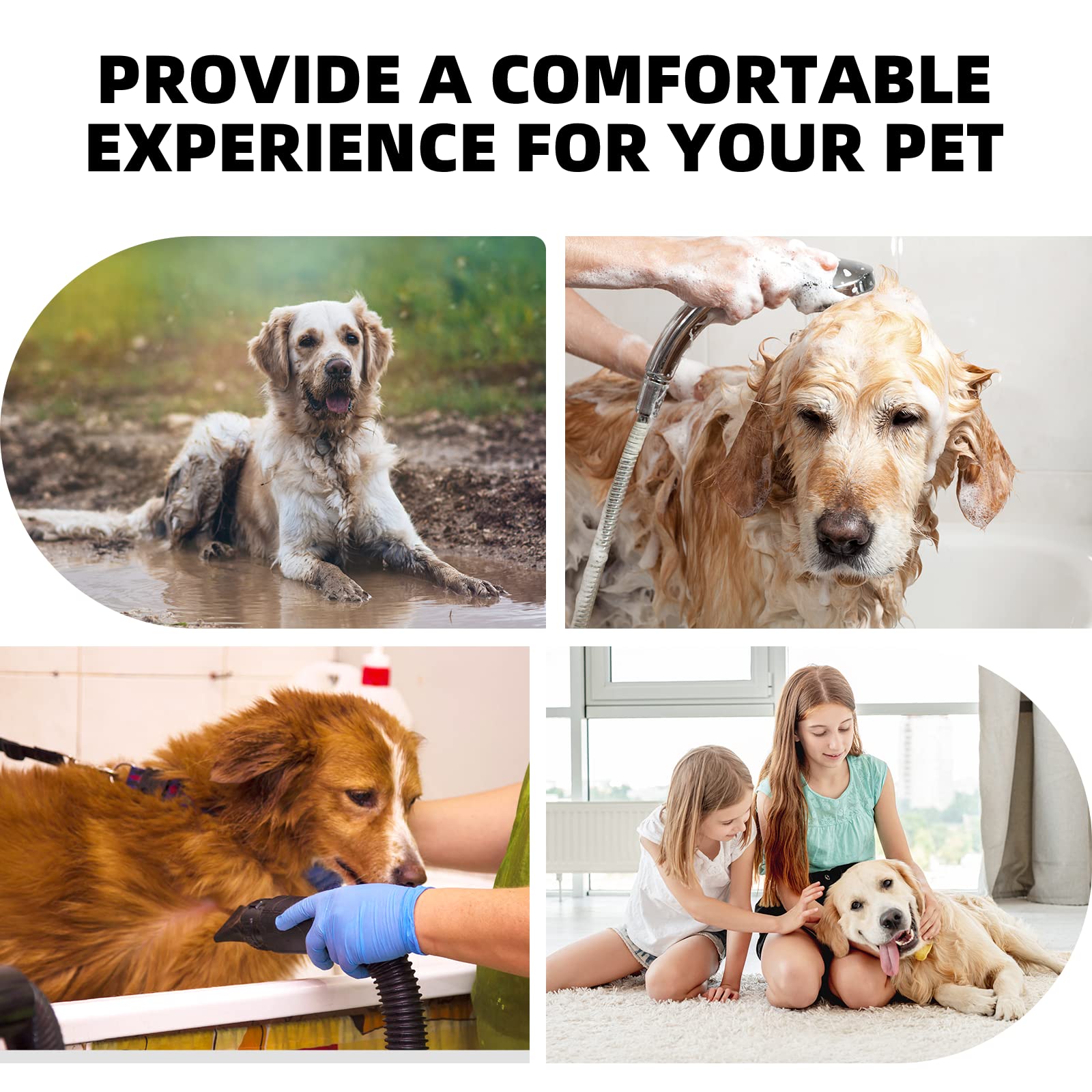 Secador de Pelo Para Perros, 2800 W Low Noise Mascotas Secador Soplador de pelo de Velocidad Continua y Temperatura Ajustable, Profesional Secador Perro con 4 boquillas y manguera larga (Blanco)