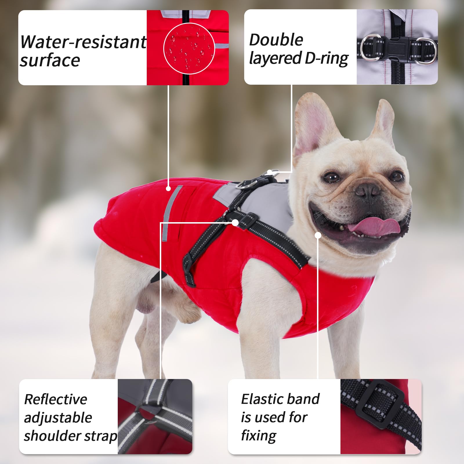 Cappottino Cane: Cappottini per Cani Piccola taglia Impermeabile Giubbotto - Cappotto Cane con Pettorina Adatto Invernale