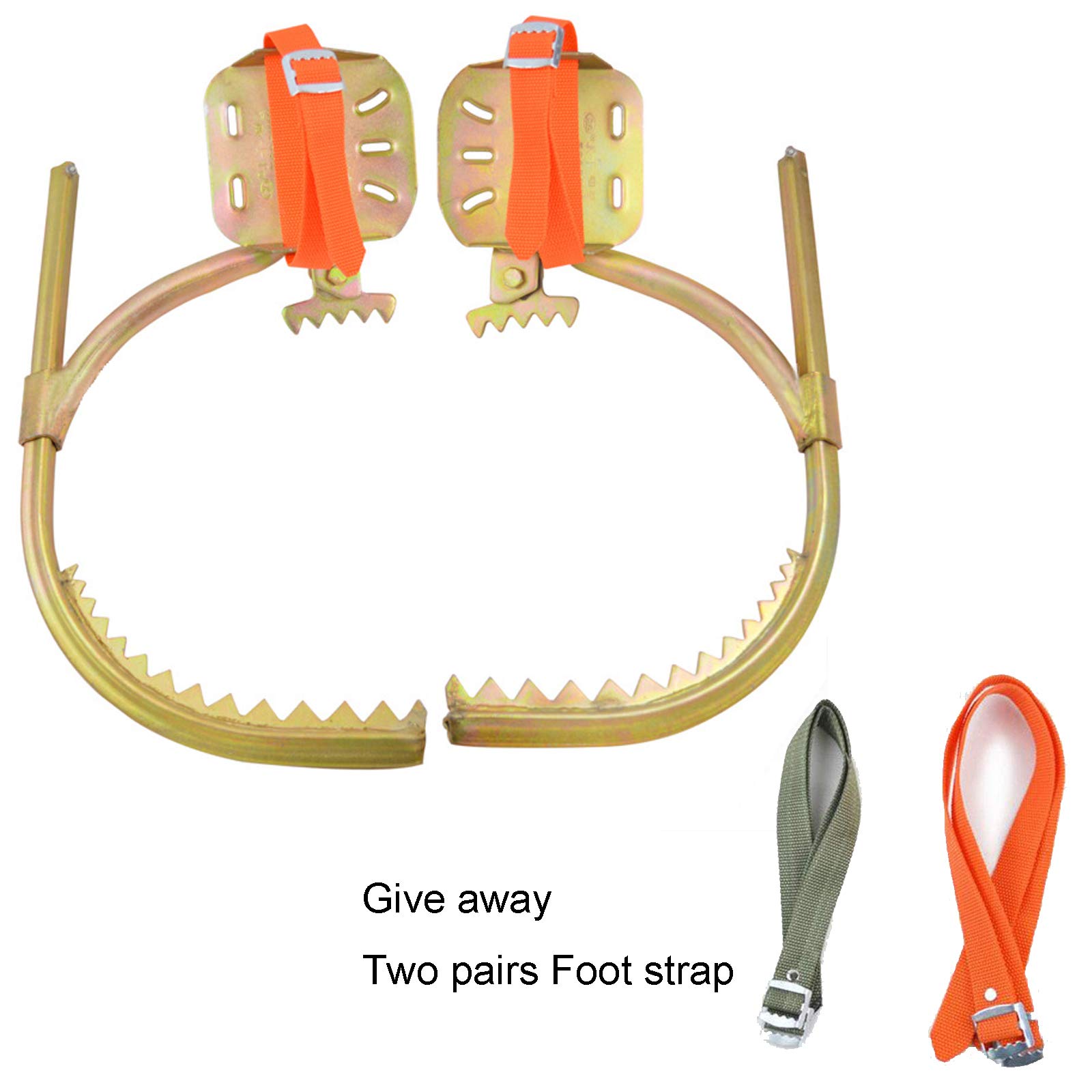 Arrampicata Strumenti Albero,Tree Climbing Ramponi L'Albero Saldatura di Precisione Arrampicarsi per Scegli I Pinoli,Raccogliere Frutta,Noce di Cocco,Type 450（22~45 Cm）