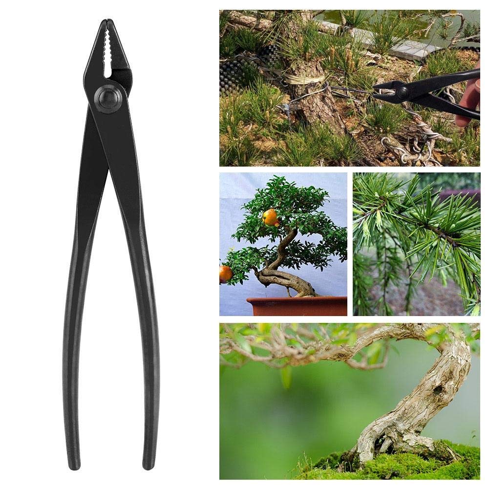 Alicates Jin cortador de bonsái, alicates de alambre para bonsái de aleación de acero al manganeso con extremo redondo para uso seguro, herramienta de jardinería
